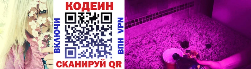 Кодеин Purple Drank  Купить закладки  Томари 