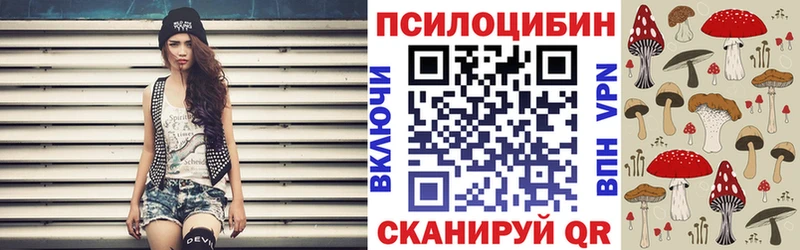 Псилоцибиновые грибы MAGIC MUSHROOMS  Купить закладки  Томари 